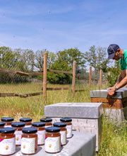 Camping Sandaya Les Alicourts image 14