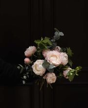 Persephone image 9