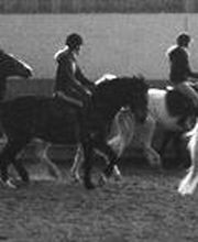 Manège de Pampigny Bild 2