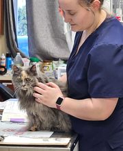 Westerville Veterinary Clinic image 19