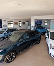 Gallery Cliente