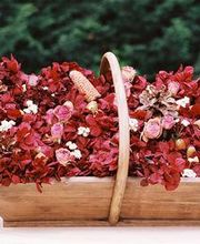 Díaz Floristas imagen 4