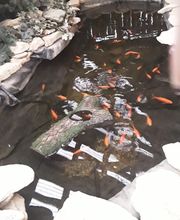 Paradise Park image 10