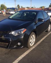 Cactus Auto image 18