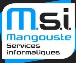 M.S.I. image 1