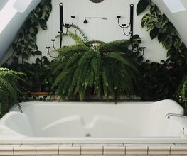 Vegetal Trend Sàrl Bild 14