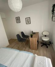 Chornet Alexandre image 2