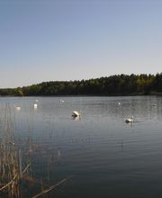 Häntschel Immobilien Bild 2