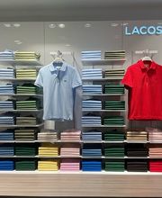 Polo Area