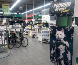 Feu Vert image 4