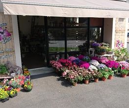 Fleurs et Bois image 5