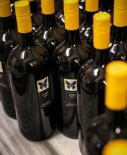 Cave des Bernunes SA Bild 5