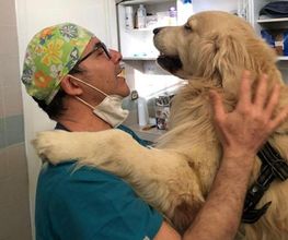 Centro Veterinario Maccauro immagine 7