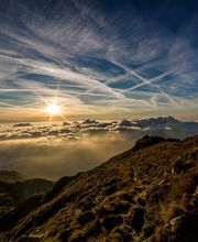 Frédéric Ternon image 1