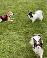 L'ETOILE D'OURALE image 5