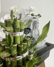 Nicha Thai Massage Bild 11