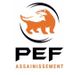 PEF assainissement