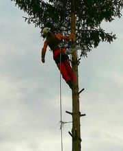 Les Environneurs image 19