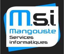 M.S.I. image 3