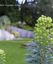 Ambiance Paysage image 3