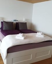 3 Bünden Reinigung Bild 5