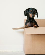 Move For You GbR Umzug- und Transportunternehmen Bild 2