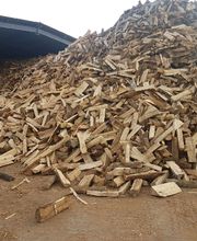 Le Petit Bucheron image 5