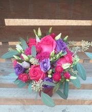 Blumen Dahlmann Bild 2