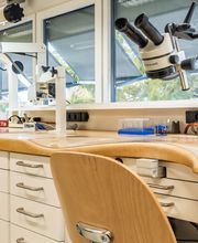 Müller Dental-Technology Bild 3