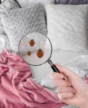 Fleetwood Pest Control image 15