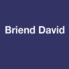 Briend David