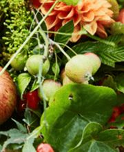 Gärtnerei Allemann GmbH Bild 7