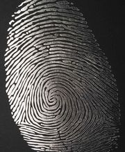 Japell Hanser & Sag image 11