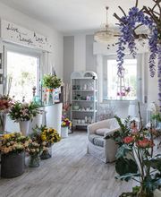 Gallery Professionale