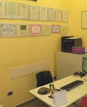 Gallery Cliente