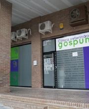 clinica-veterinaria-gospuntgat-fachada-01.jpg