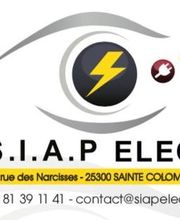 SIAP Elec image 3