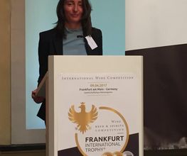 Trans-Language Bild 2
