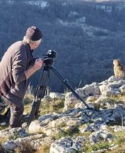 Stages Fauconnerie Lyon , Elevage de rapaces, Effarouchement pigeon, Rhône-Alpes, Bourgogne-Franche-Comté, Saône et Loire image 9