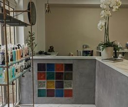 Toutou Clean.com image 6
