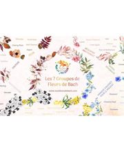 De la Cruz Martinez Stéphany image 6