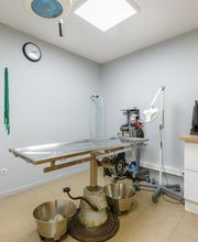 Clinique Vétérinaire Mon Véto Bourgtheroulde image 13