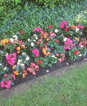 MM Gartenpflege GmbH Bild 8