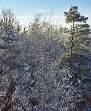 Winter am Steinbruch Haselberg