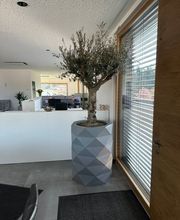 Fuchs GmbH Kälte Klima Lüftung Andreas Gleich Bild 4