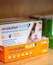 Sangaree Animal Hospital at Cane Bay image 12