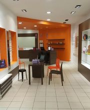 Optique Forêt - Le Collectif des Lunetiers image 11