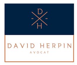 David Herpin image 2