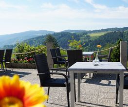 Landhotel Donaublick Bild 3