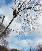 RS Elagages Services image 19